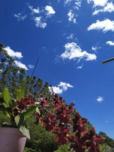 Casa para Venda em São Pedro da Aldeia / RJ no bairro São Mateus - imagem 5