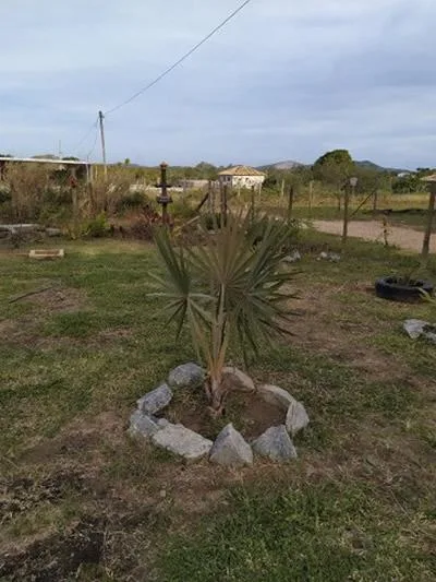 Casa para Venda em São Pedro da Aldeia / RJ no bairro São Mateus - imagem 9