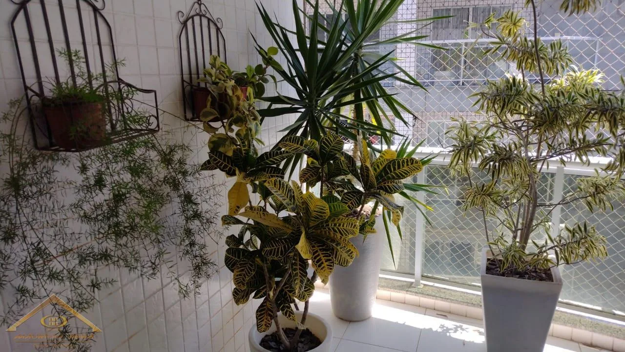Apartamento para Venda em Cabo Frio / RJ no bairro Passagem - imagem 4